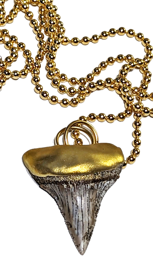Shark Tooth Necklace found on the Titanic Pendant Gold 34" Ball Chain Unisex Beach Wedding