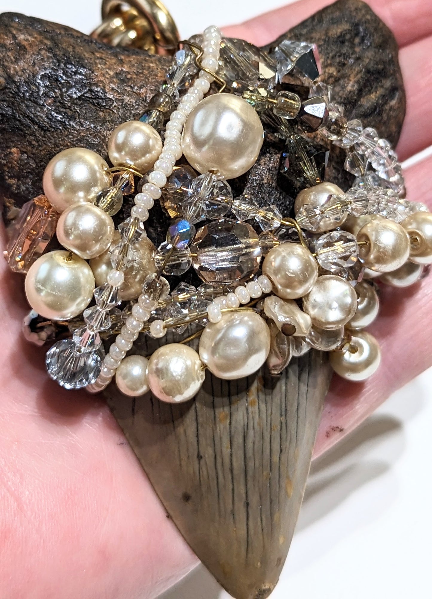 Real Shark Tooth Fossil Designer Statement Necklace Gold Grey with Pearls Swarovski Unisex Beach Wedding Ocean Dentist Sugar Gay Isber