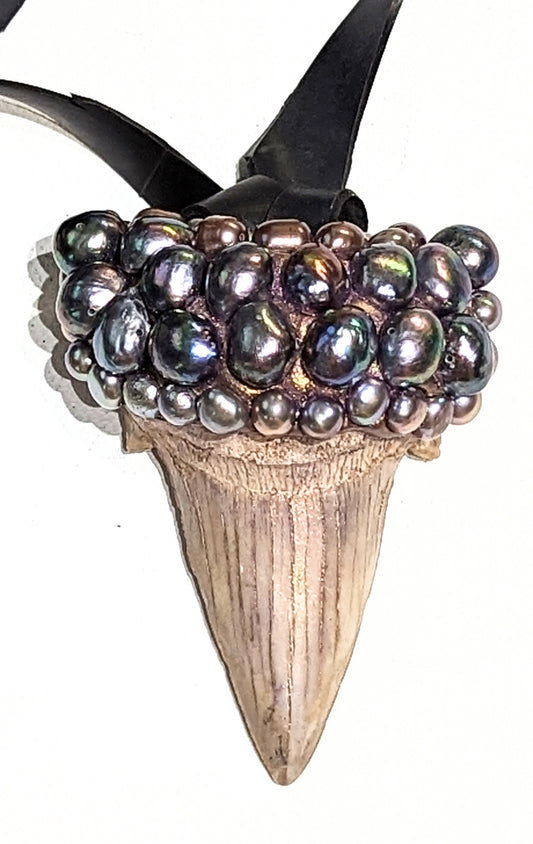Silver Grey Purple Pearls on a Real Shark Angustiden Tooth Fossil Necklace Pearls Unisex Wedding Ocean Dentist Statement Sugar Gay Isber