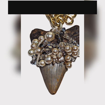Real Shark Tooth Fossil Designer Statement Necklace Gold Grey with Pearls Swarovski Unisex Beach Wedding Ocean Dentist Sugar Gay Isber